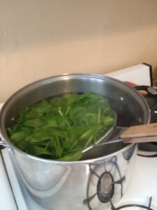 Immersing a strainer basket full of spinach into the boiling water. 