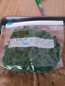 A frozen bag of kale, labeled with the date and contents.