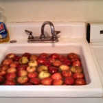 1. Wash the apples. I fill the sink with water and slosh them around. Don't get carried away and bruise the apples, though.