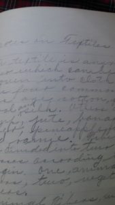 There is also a short essay on textiles. Check out that handwriting!