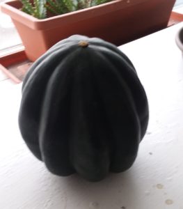 An acorn squash