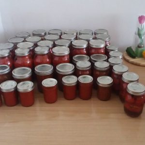 A table full of glass jars full of tomatoes