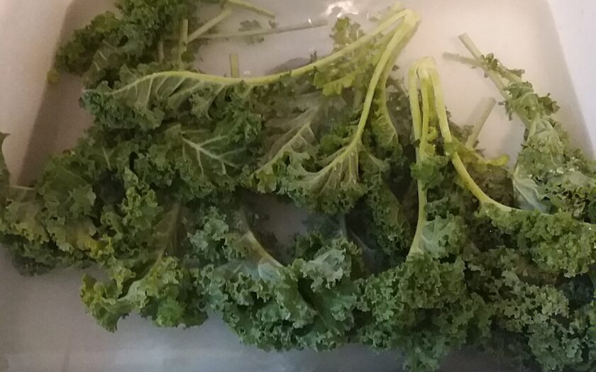 The Thrifty Housewife: Freeze Your Greens!